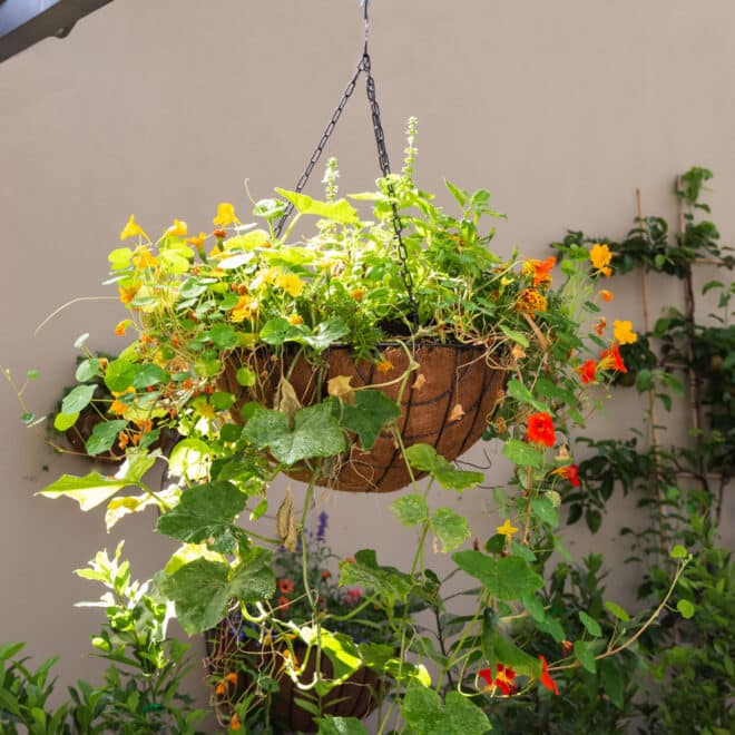 Premium Hanging Basket with Liner 50cm - Hammertone - Image 7