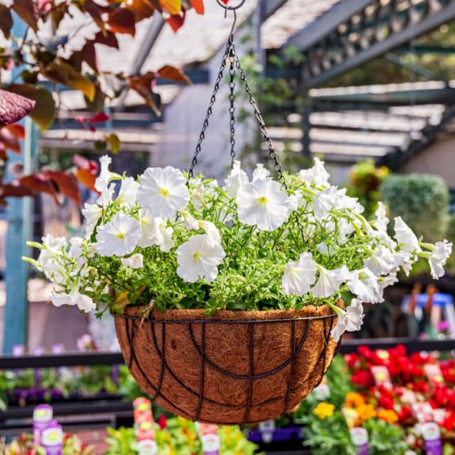 Premium Hanging Basket with Liner 50cm - Hammertone - Image 8