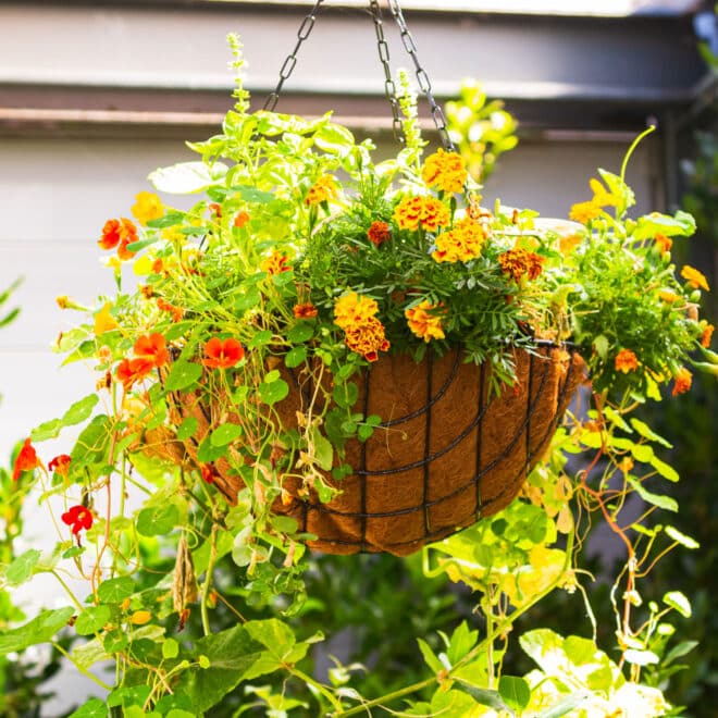 Premium Hanging Basket with Liner 50cm - Hammertone - Image 9