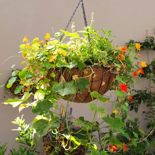 Premium Hanging Basket with Liner 50cm - Hammertone - Image 6