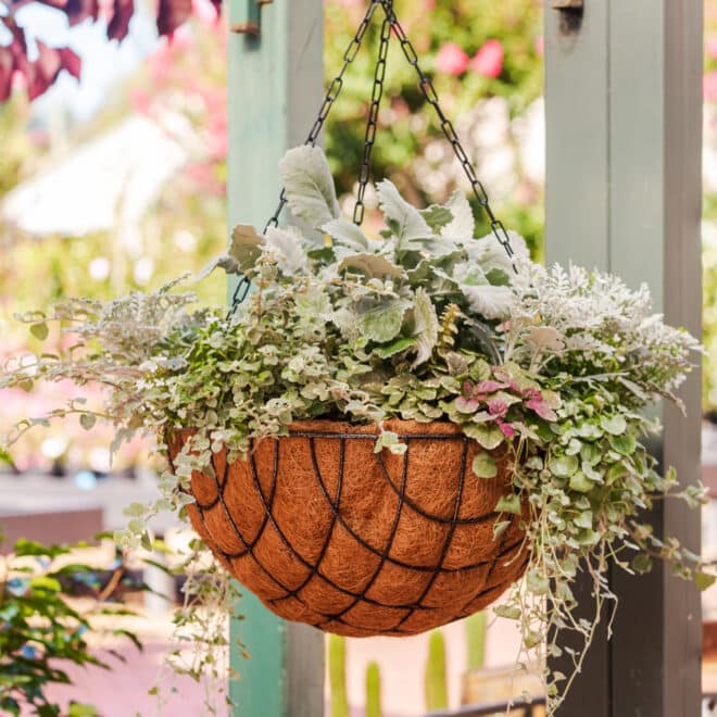 Premium Hanging Basket with Liner 50cm - Hammertone - Image 2