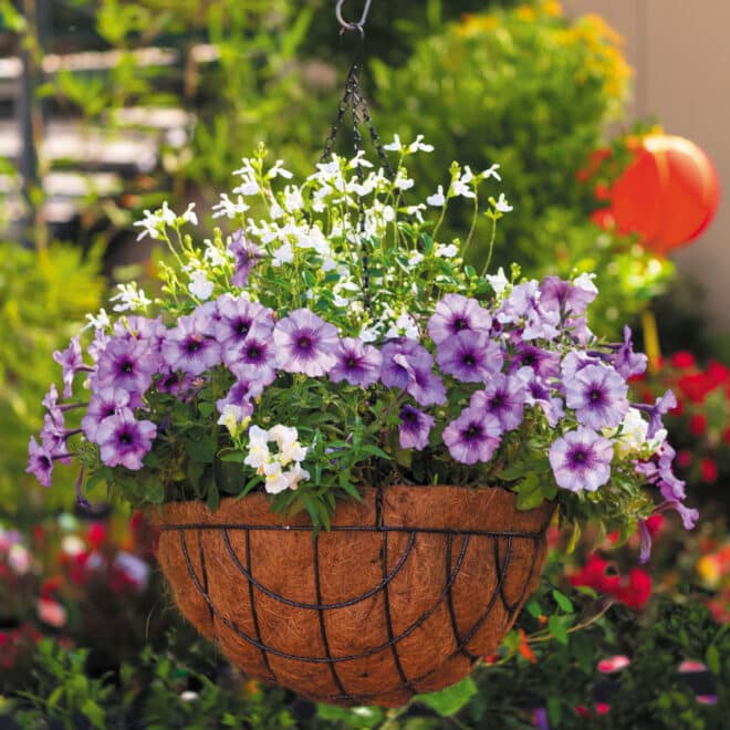 Premium Hanging Basket with Liner 40cm - Hammertone - Image 8