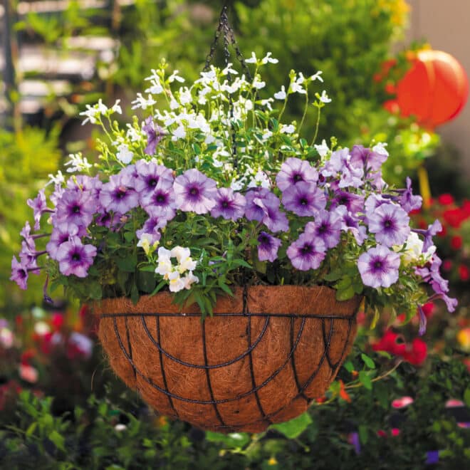 Premium Hanging Basket with Liner 40cm - Hammertone - Image 5