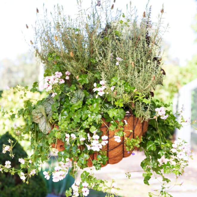 Premium Hanging Basket with Liner 60cm - Hammertone - Image 4