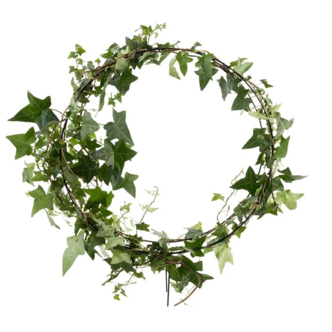 Topiary Frame -  Round 35cm - Black - Image 3
