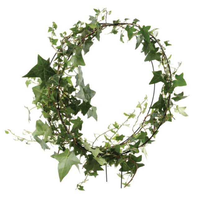 Topiary Frame -  Round 35cm - Black - Image 2