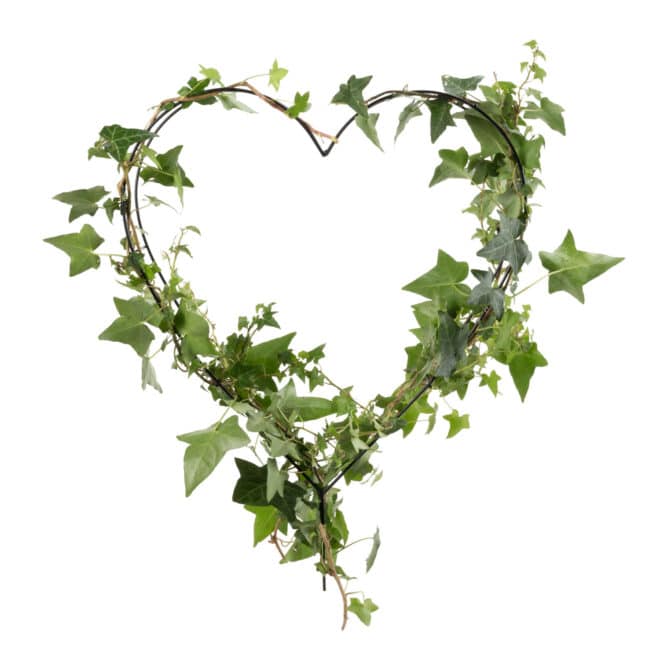 Topiary Frame -  Heart 35cm - Black - Image 3