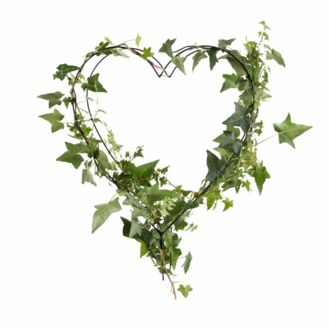 Topiary Frame -  Heart 35cm - Black - Image 2