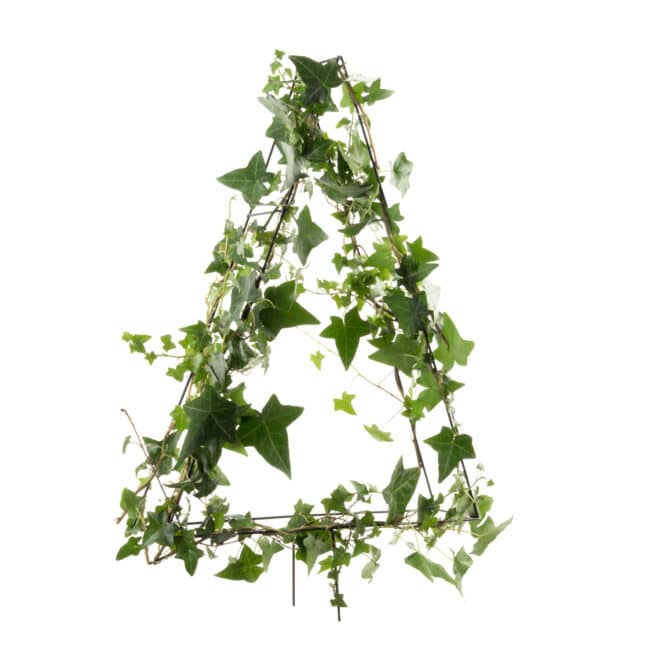 Topiary Frame -  Triangle 35cm - Black - Image 2