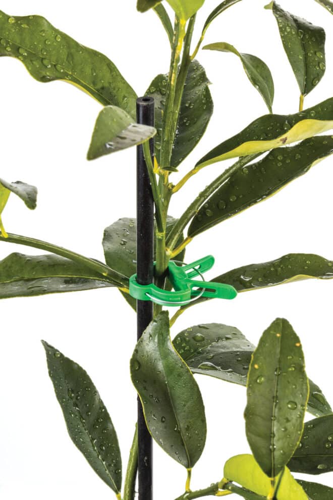 Plant Clips Assorted 20pcs - Green - Image 3