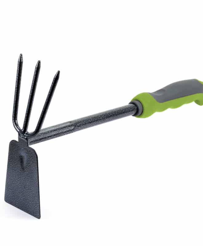 Hoe and Fork