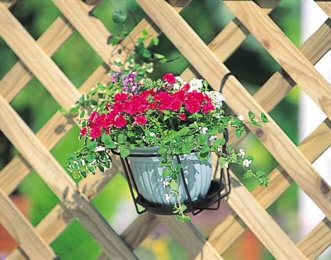 Single Wire Planter Holder 18cm - Black - Image 2