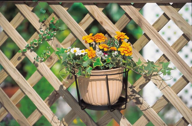 Single Wire Planter Holder 22cm - Black - Image 2