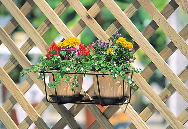 Double Wire Planter Holder 34cm - Black - Image 3