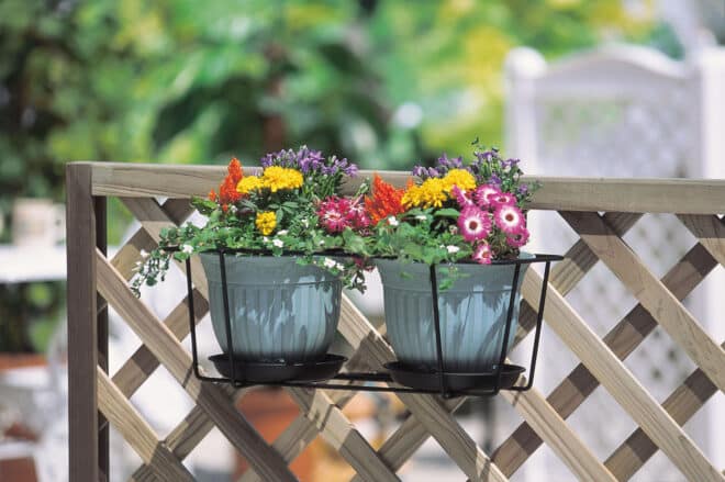 Double Wire Planter Holder 45cm - Black - Image 2