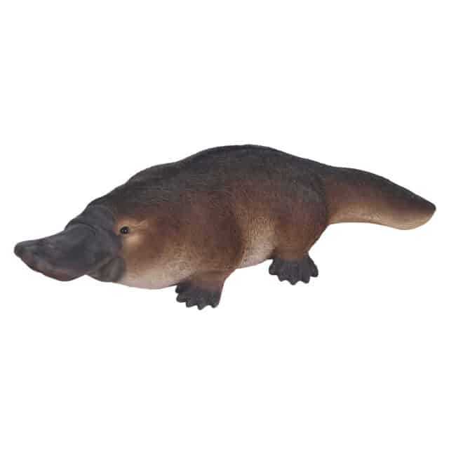 Platypus