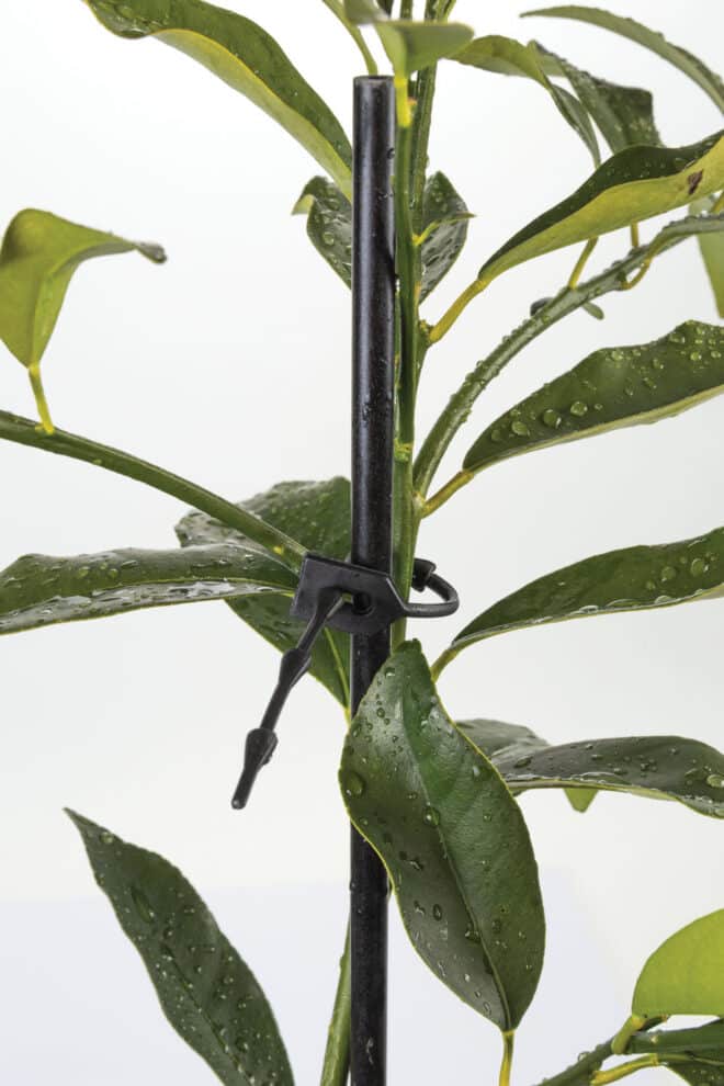 Rubber Plant Ties - Pack of 50 - Image 2
