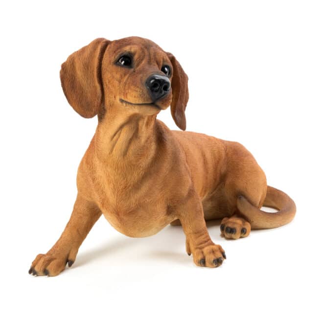 Dachshund Sitting - Brown - Image 3