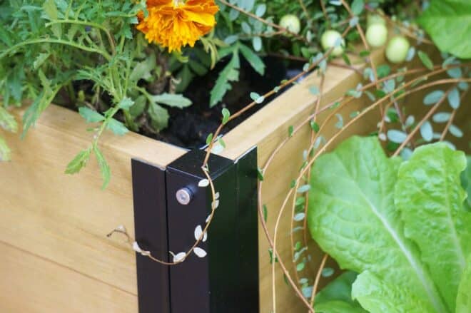 Raised Bed Grow Kit - Small - Natural - FSC 100% - Image 18