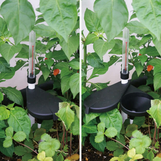 Wallhugger Self Watering Kit 1m - Image 11