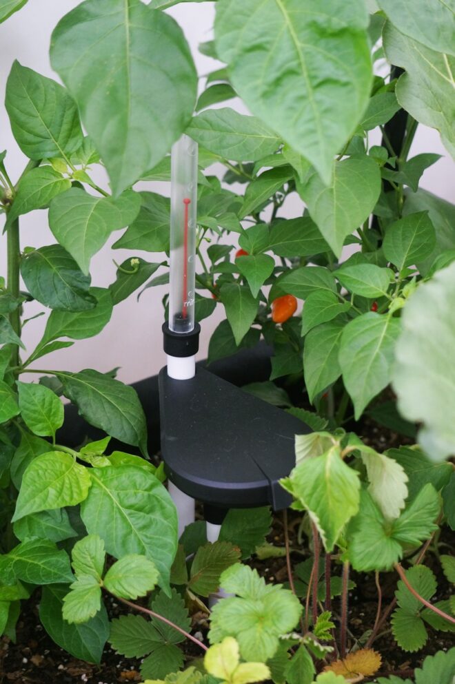 Wallhugger Self Watering Kit 1.8m - Image 11