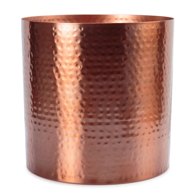 Assam 21cm - Image 2