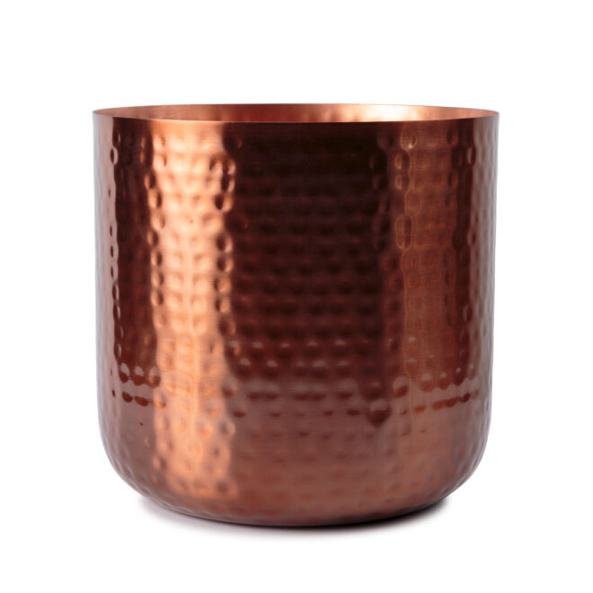 Uttar 21cm - Image 2