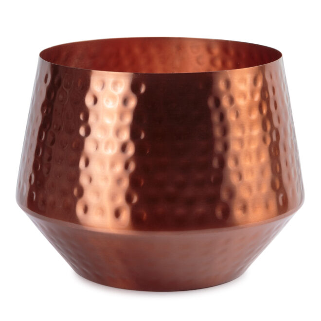 Bakra 17cm - Image 2