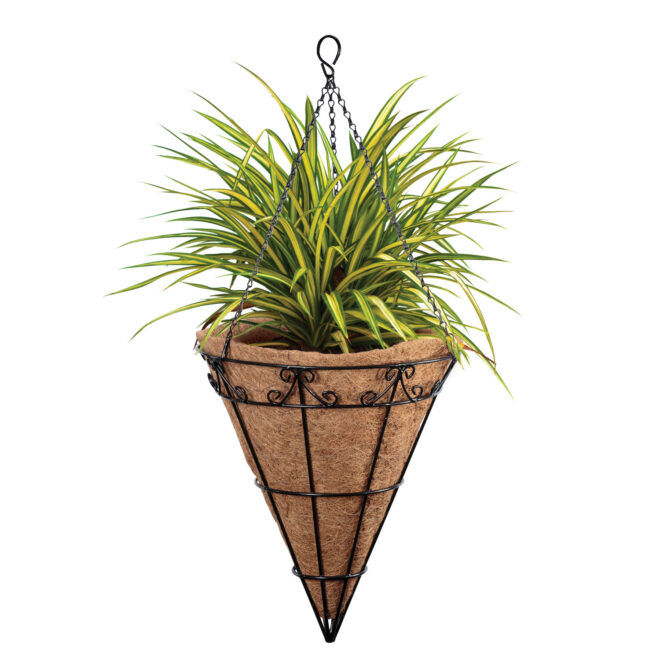 Hanging Basket Madonna Cone 35.5cm