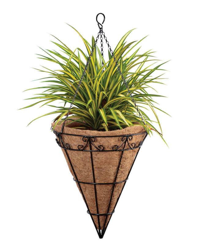 Hanging Basket Madonna Cone 35.5cm