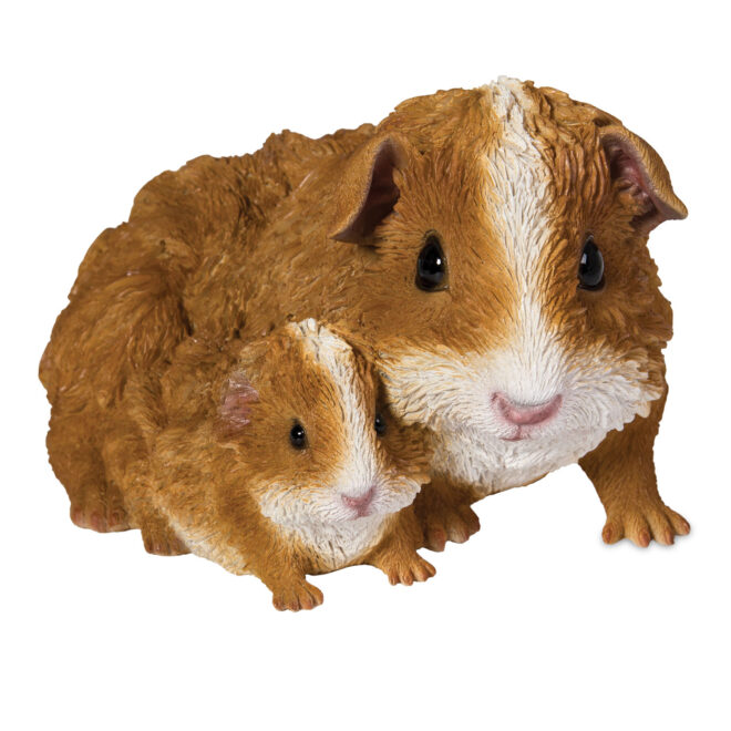 Guinea Pigs - Mother & Baby