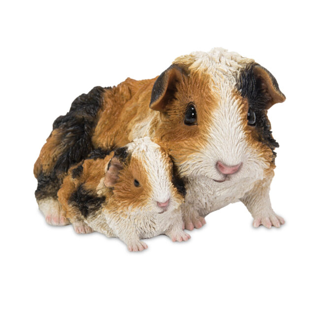 Guinea Pigs - Mother & Baby