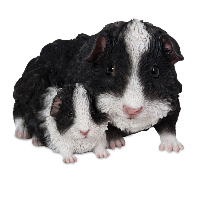 Guinea Pigs - Mother & Baby