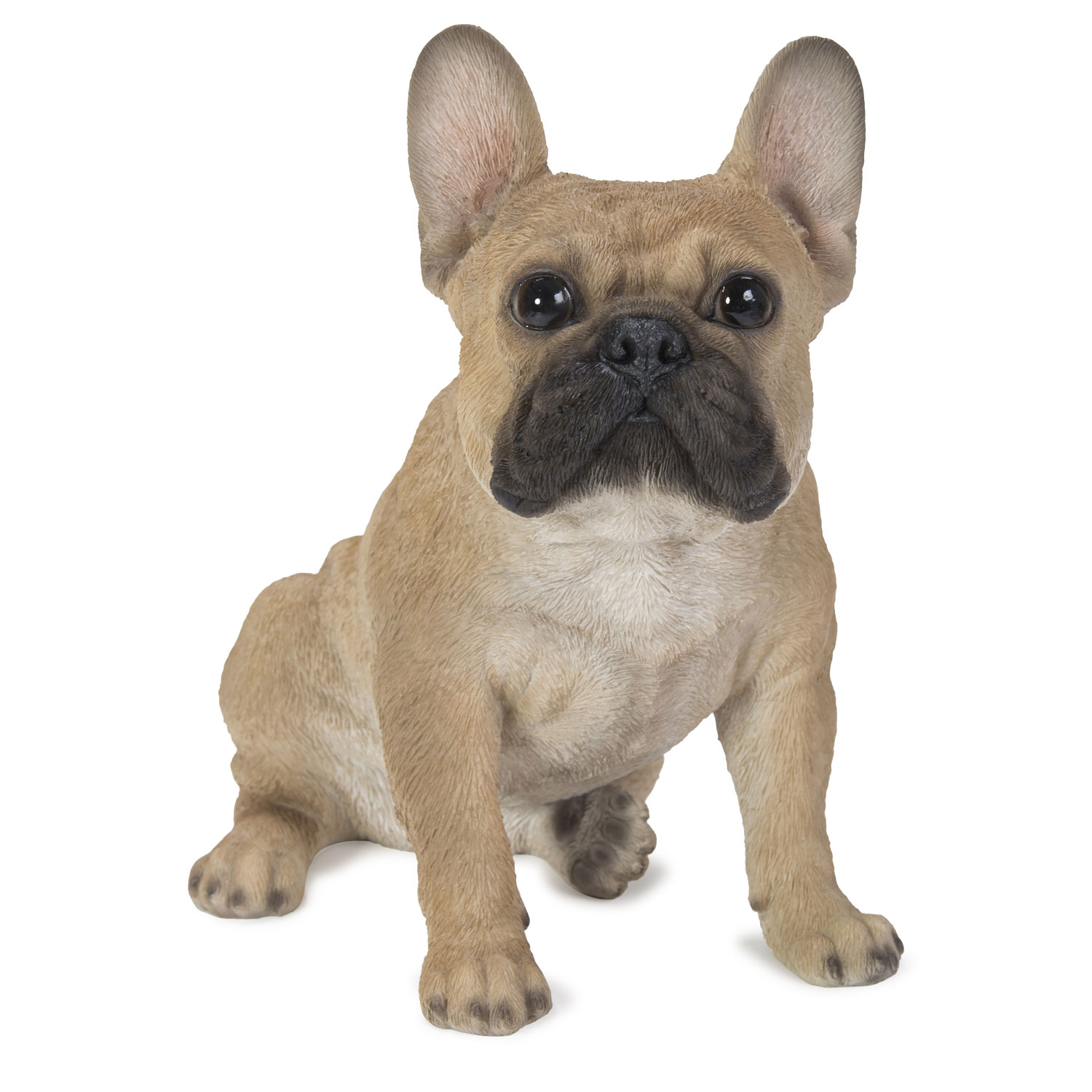 French bulldog accessories clearance australia