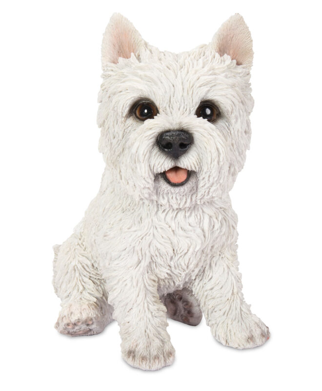 Westie Sitting - White