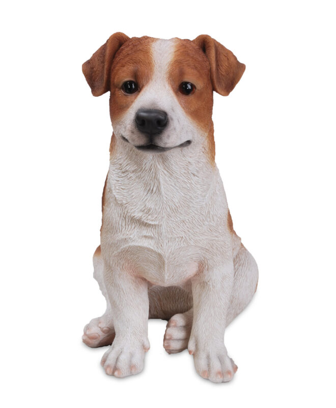 Jack Russell Sitting - Medium