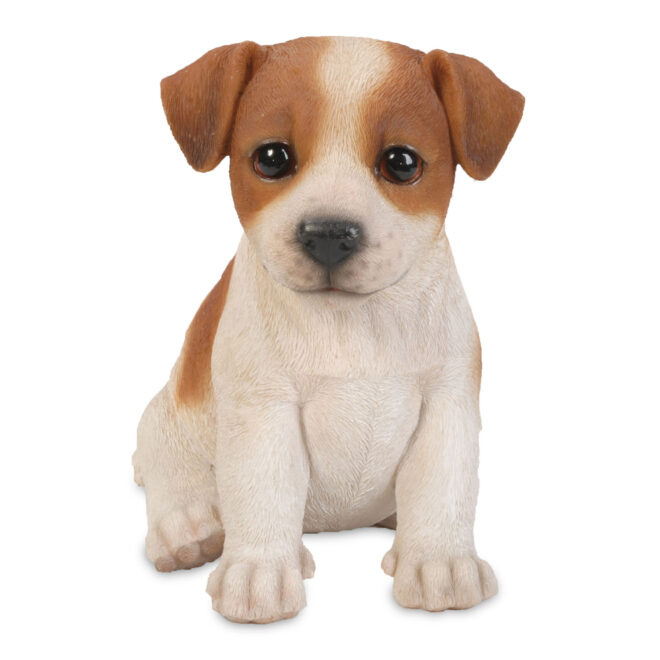 Jack Russell Sitting - Small