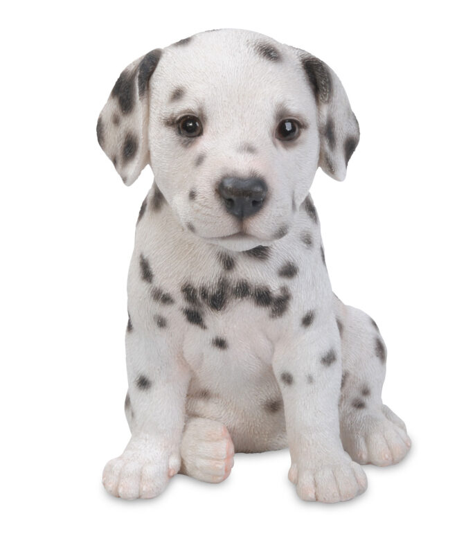Dalmatian Sitting - Small