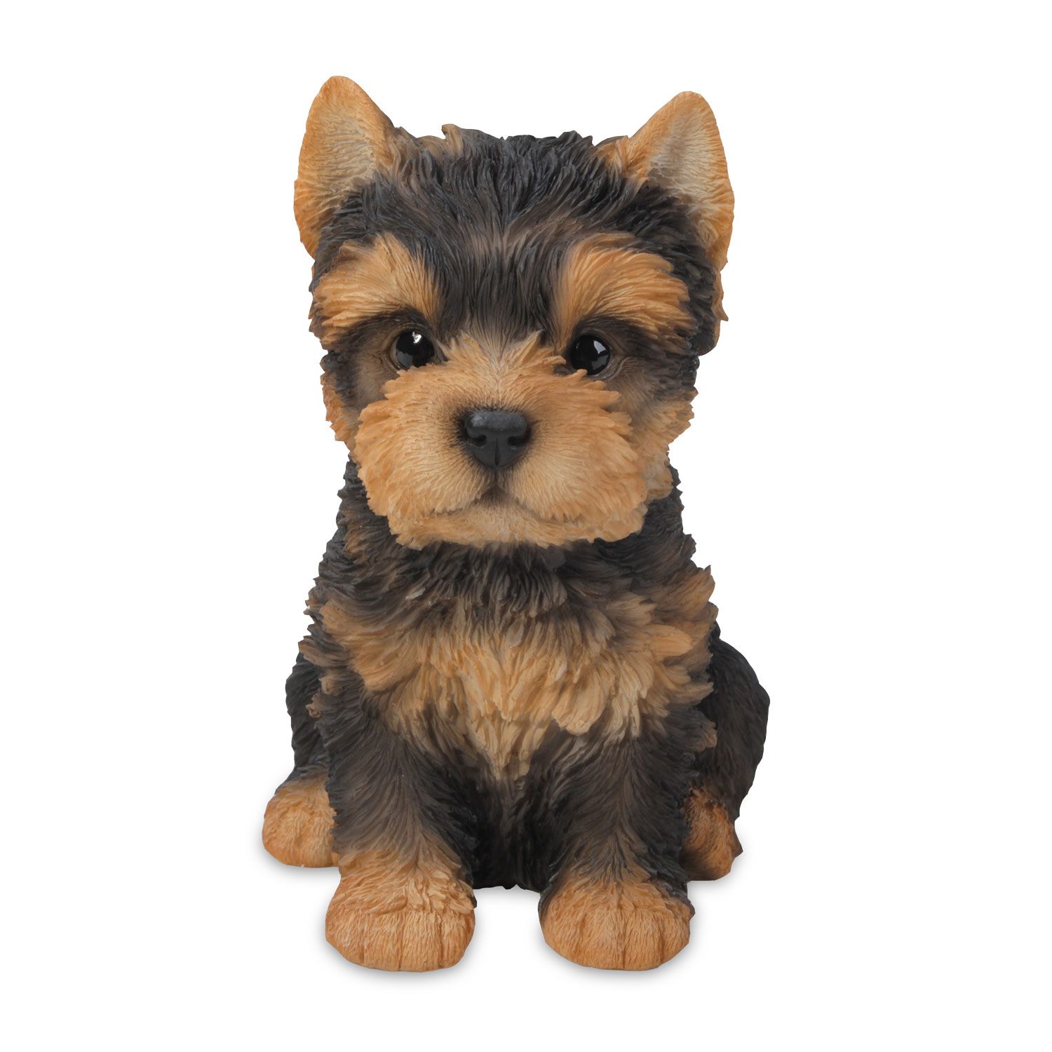 Yorkshire Terrier Sitting - Small