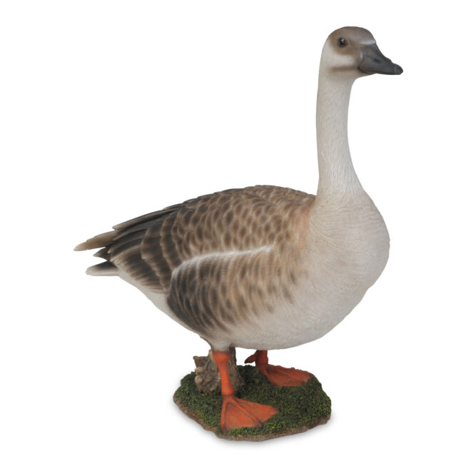 Wild Goose