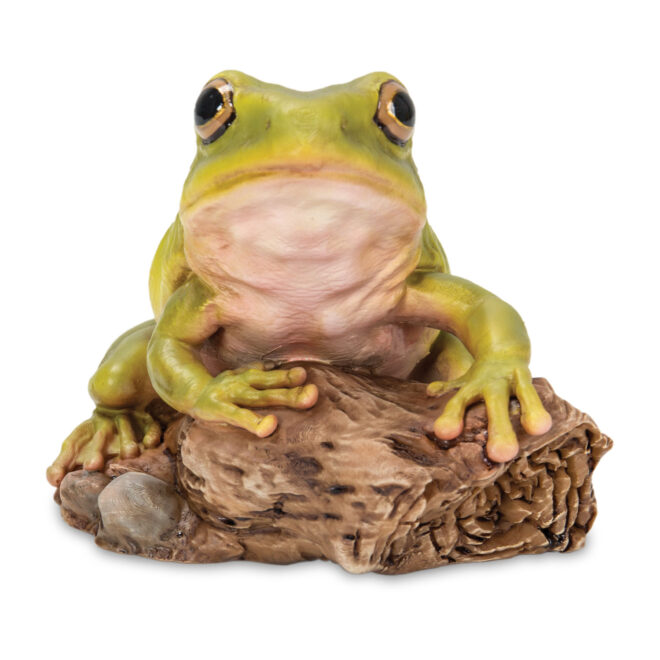 Tree Frog - Small