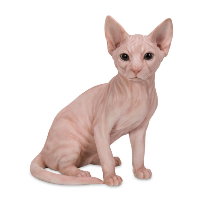 Sphynx Cat - Pink