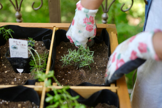 Herb Garden – Natural Finish - FSC 100% - Image 9