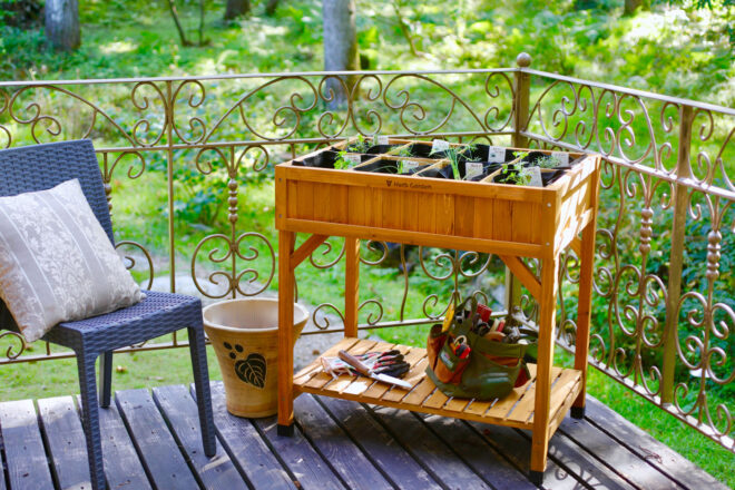 Herb Garden – Natural Finish - FSC 100% - Image 11
