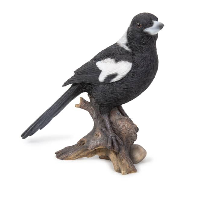 Magpie on Stump