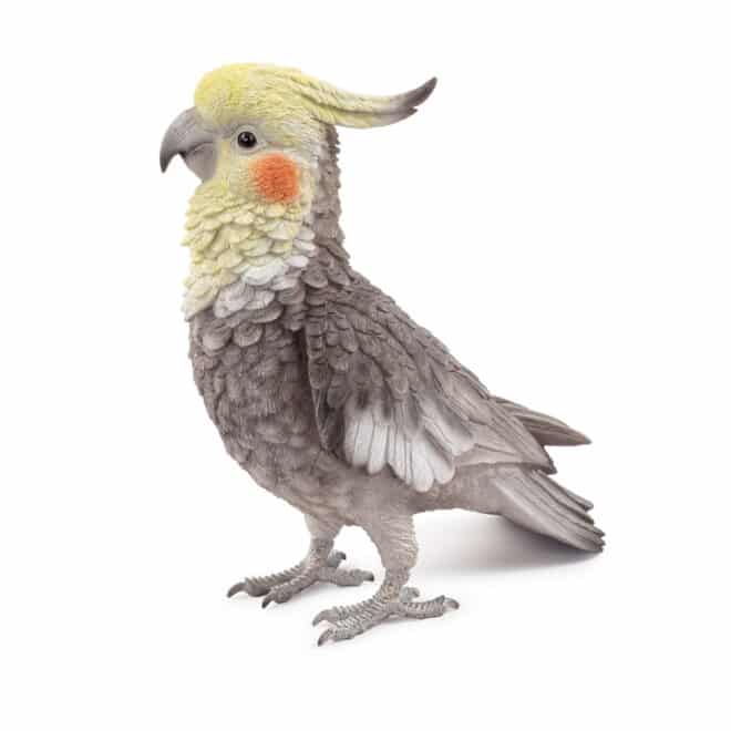 Cockatiel with iron feet - Image 3