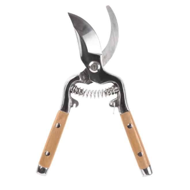 Secateurs - Forged Carbon Steel - FSC 100% - Image 2