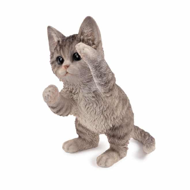 Playful Kitten - Grey