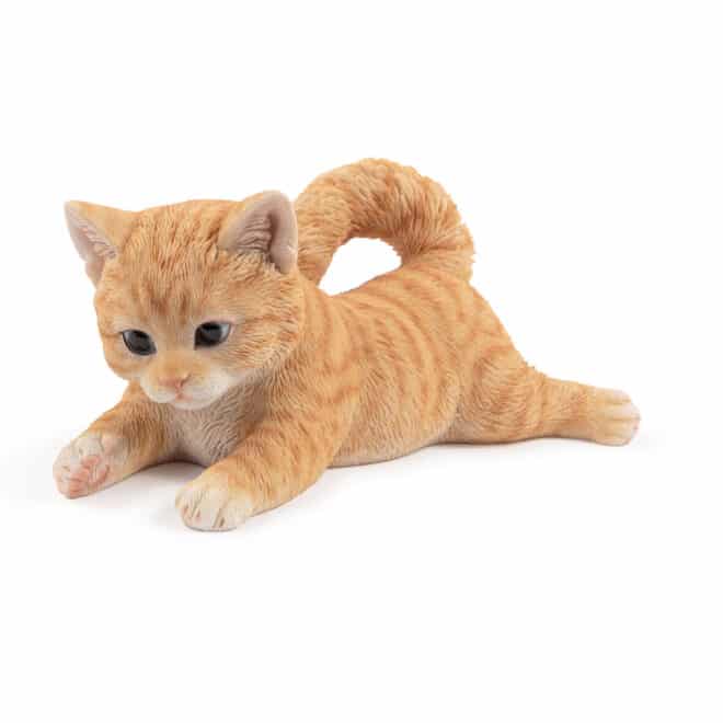 Laying Playful Kitten - Ginger