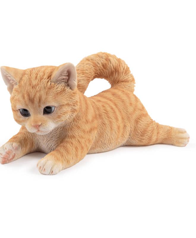 Laying Playful Kitten - Ginger